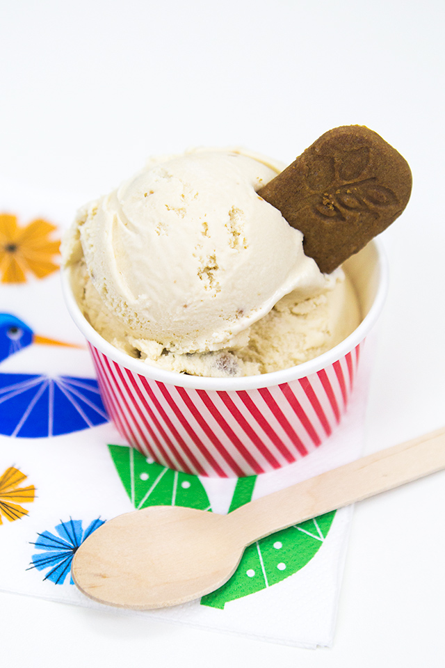 Take Trader Joe's Cookie Butter to the next level with this easy, no cook ice cream recipe.